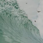 Flutter Fly - Image 2