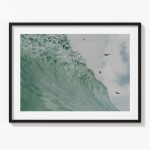 Flutter Fly - Image 4
