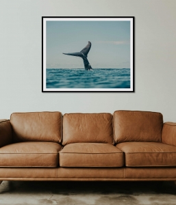 A Whale’s Tale