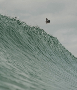 Fly High