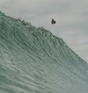 Fly High