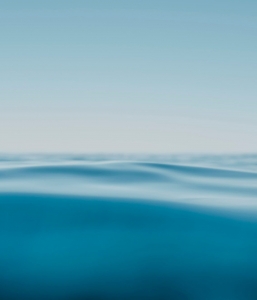 High Tide